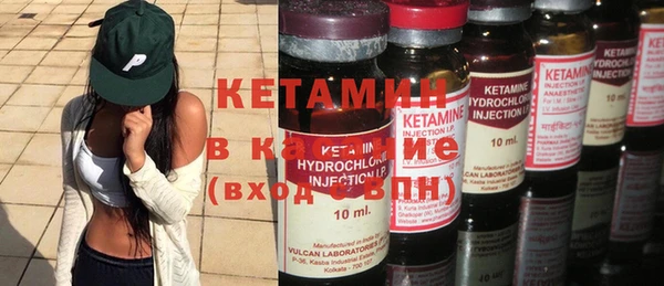 крисы Баксан