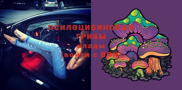 крисы Баксан