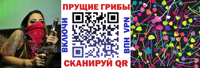 цены   Лосино-Петровский  гидра онион  Галлюциногенные грибы Psilocybine cubensis 